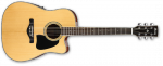 Акустичні гітари з підключенням